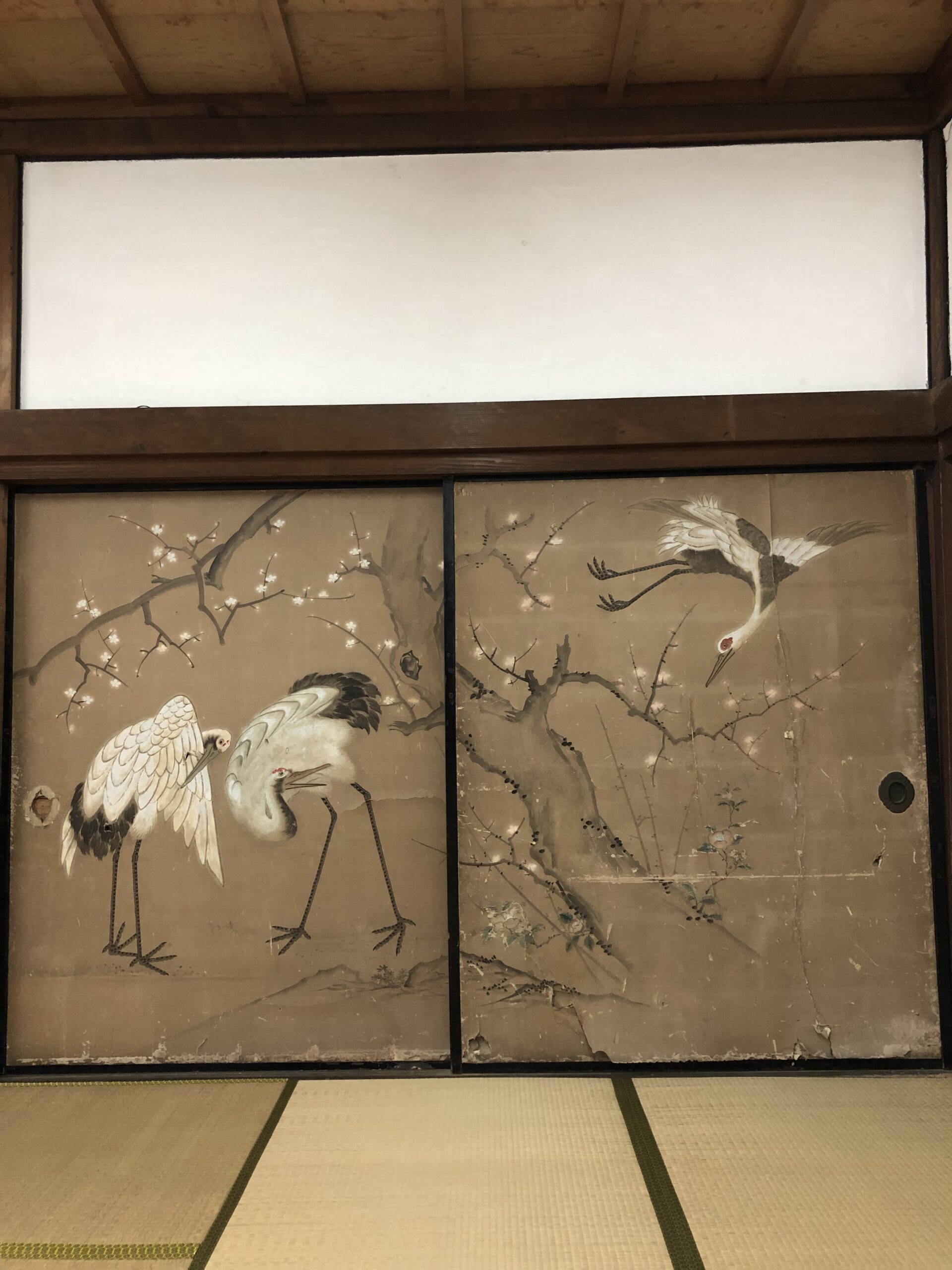 対面所本願寺 尾崎別院（浄土真宗本願寺派）大阪府阪南市